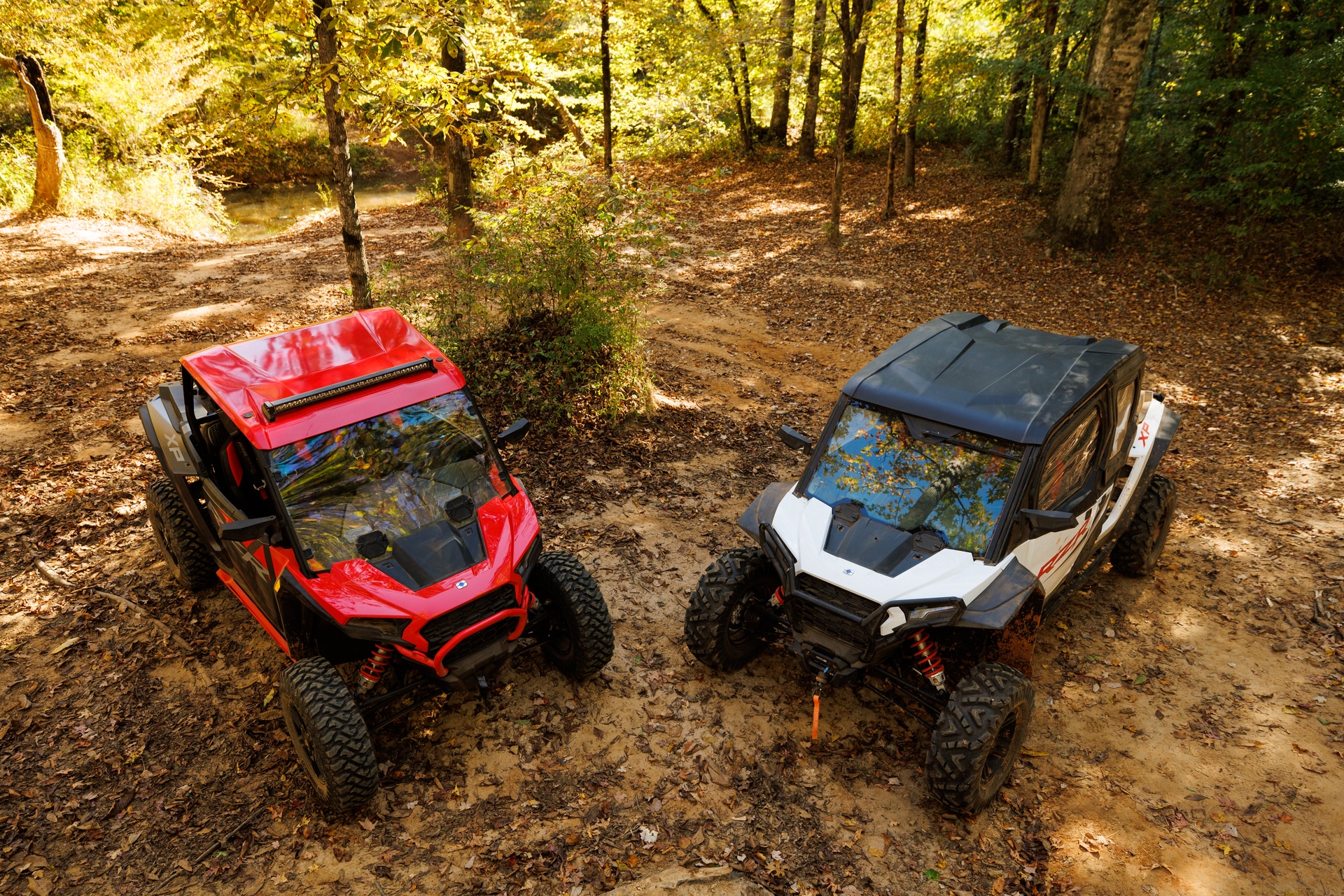 Polaris RZR 2024 MOTOMAG