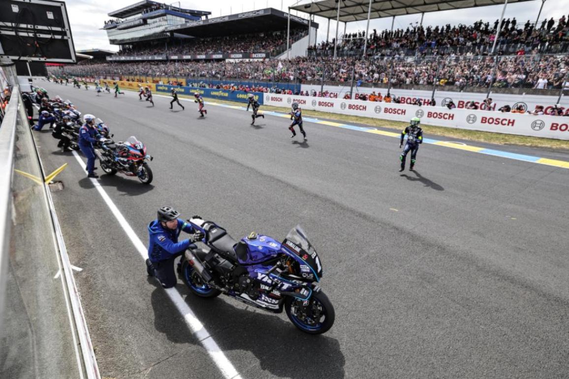 ​  bol d'or