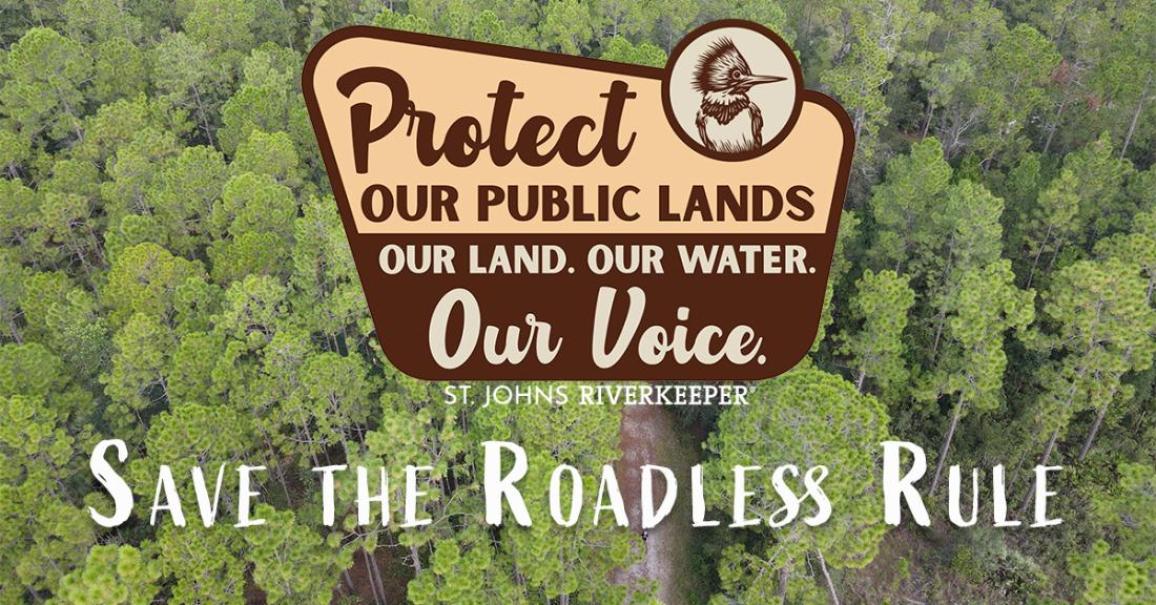 Roadless Rule
