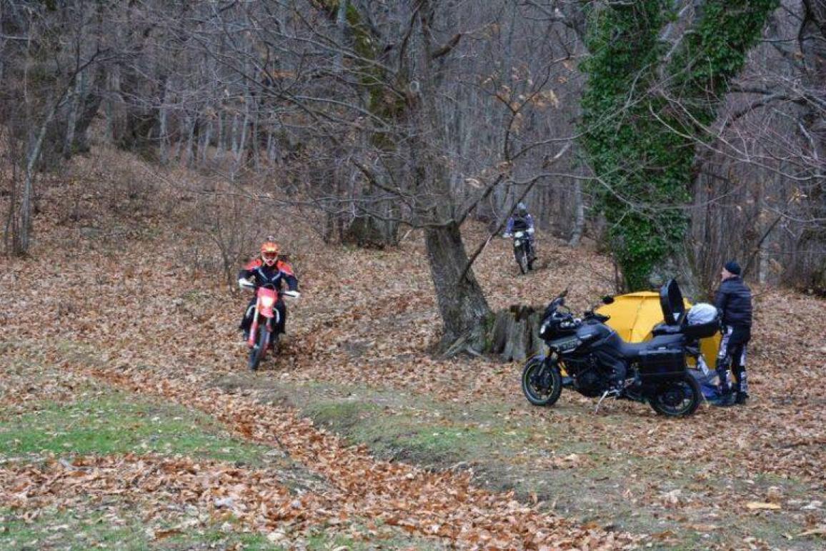 MOTOE 7th Mammoth meeting