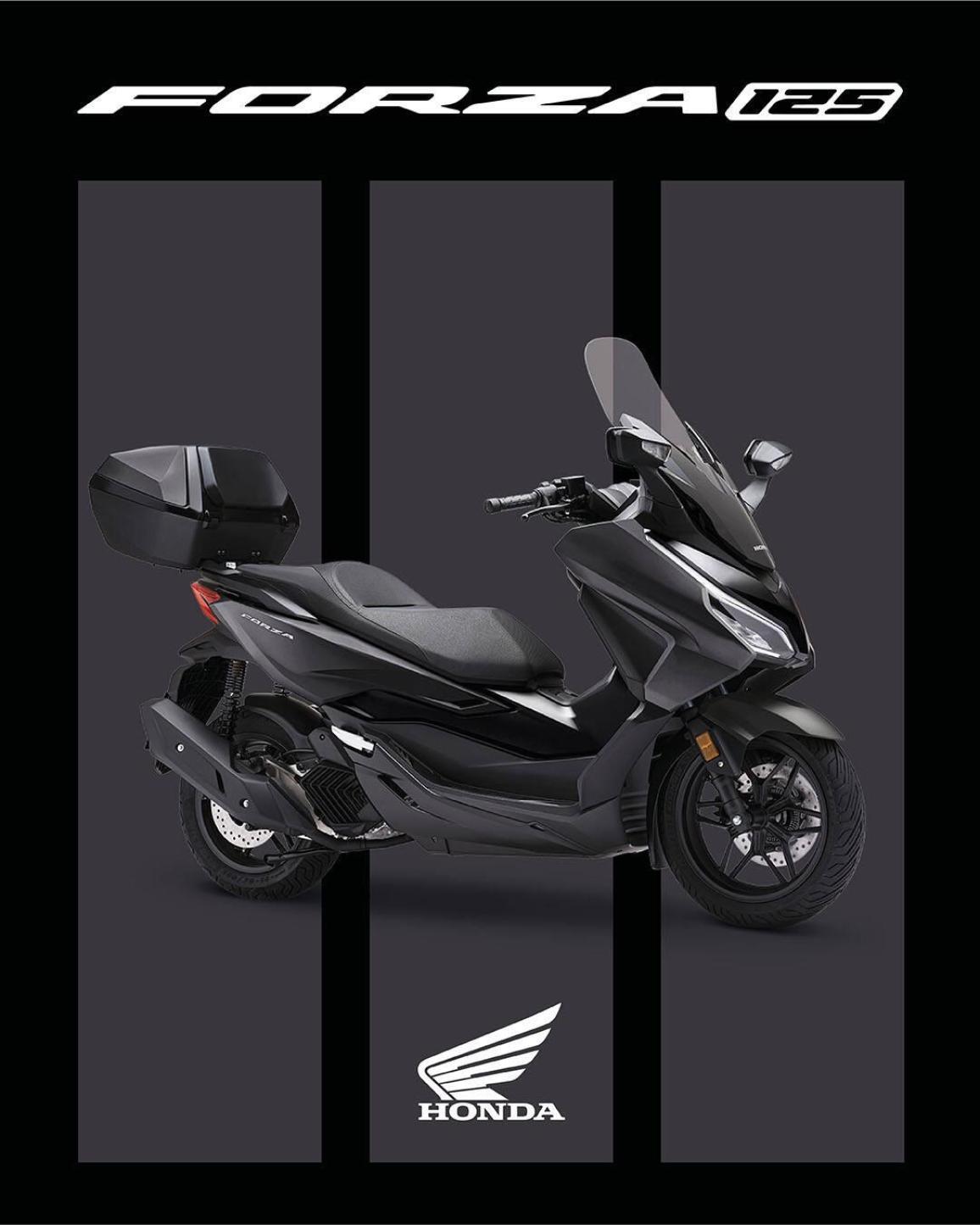 Mat Cynos Gray Metallic