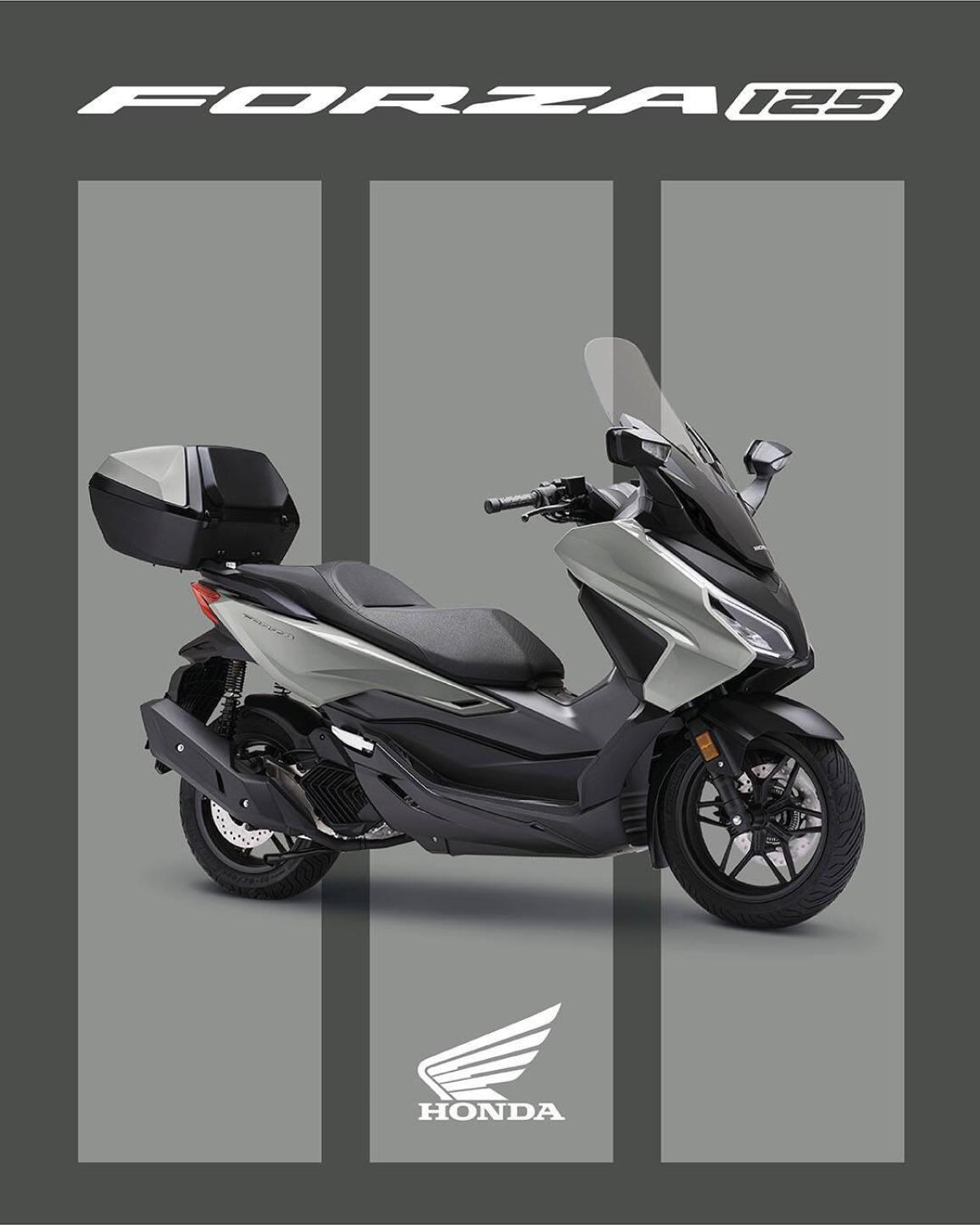 Mat Cynos Gray Metallic