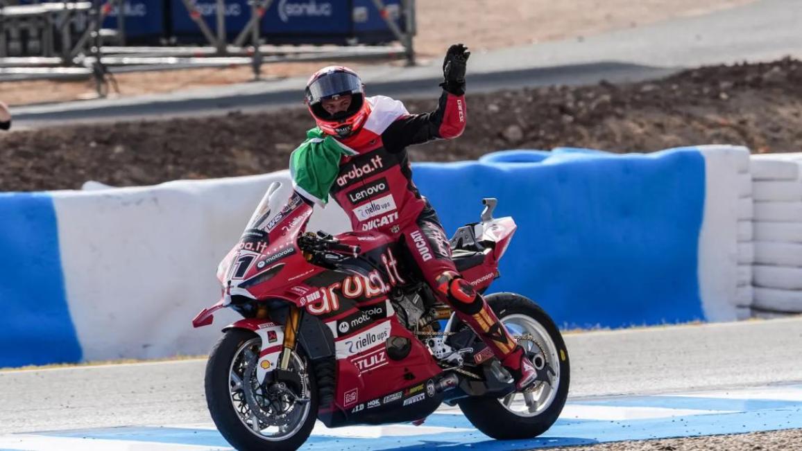 bulega