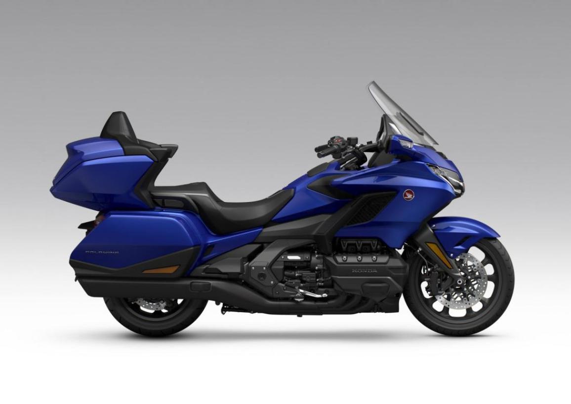 Gold Wing