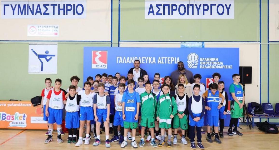 ΕΚΟ Mini Basket