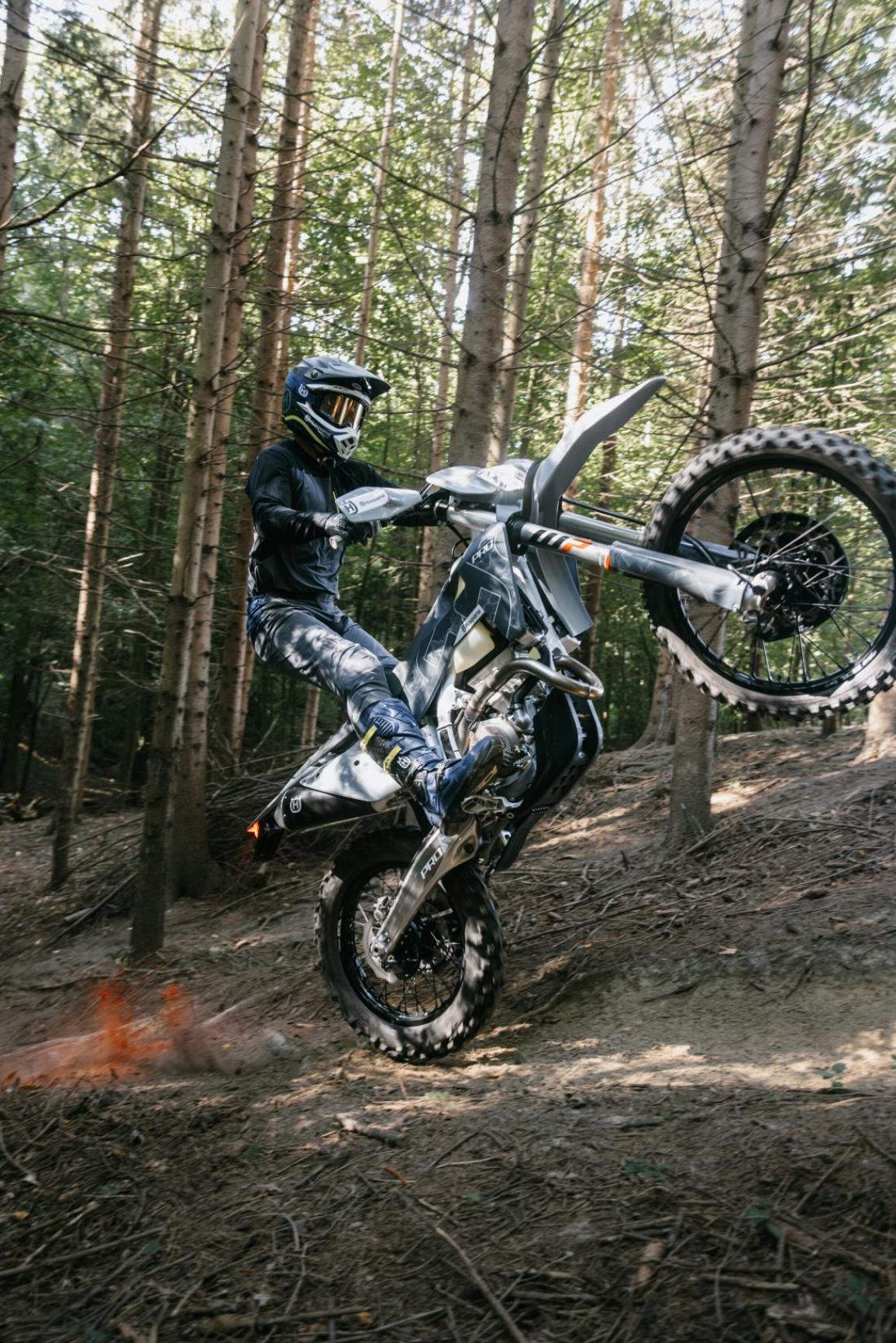 TE 300 Pro 2026 and FE 350 Pro 2026