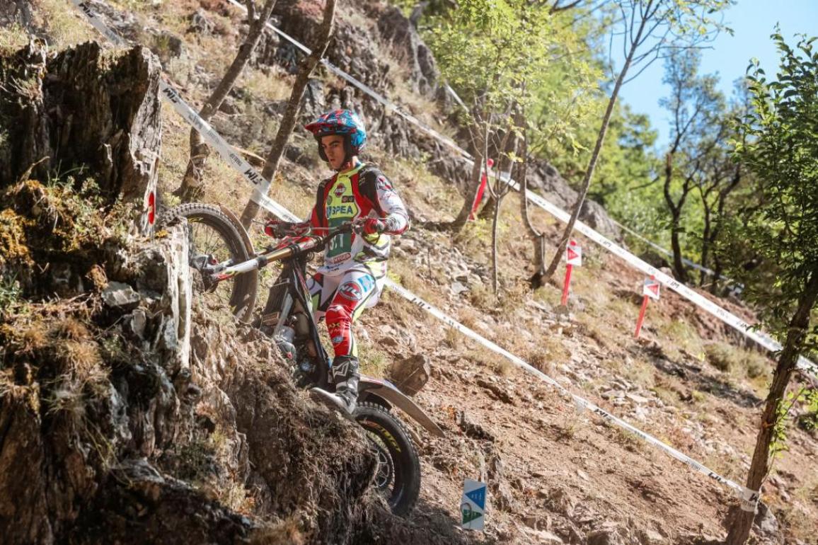 TrialGP