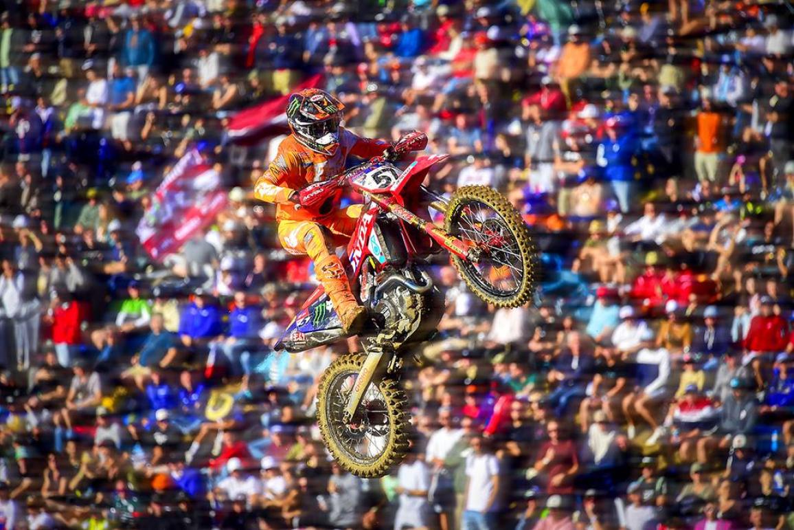MXoN