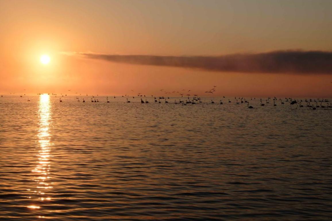 ANDELI ROUPEL TRIP 2026