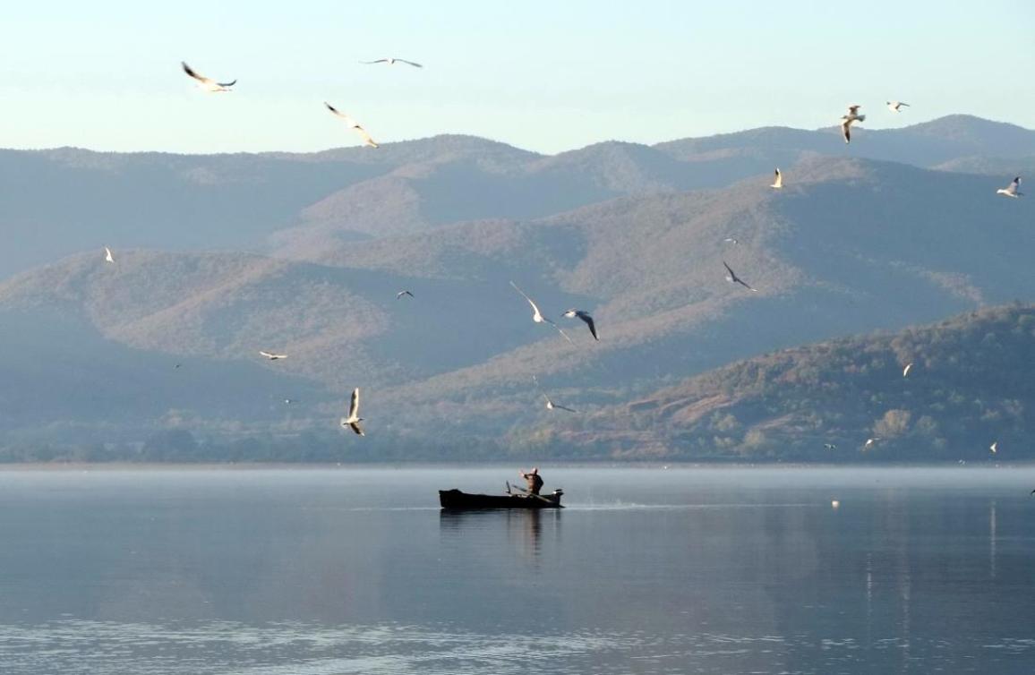 ANDELI ROUPEL TRIP 2026