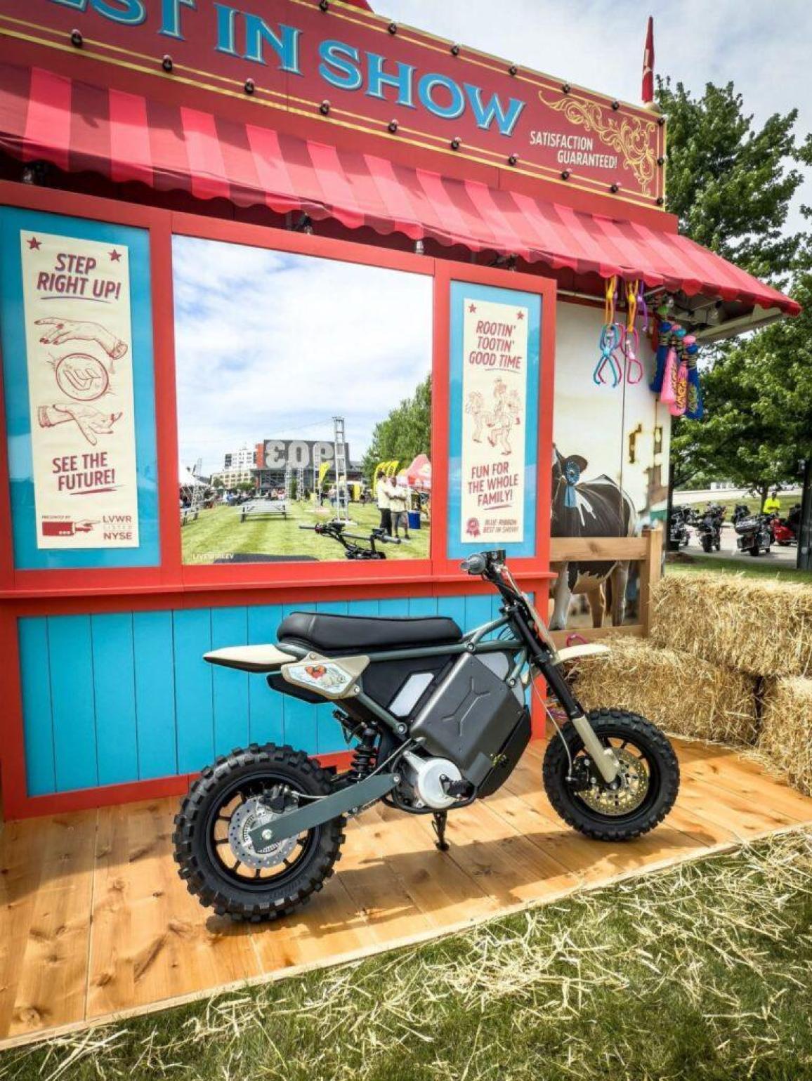 LiveWire Minimotos