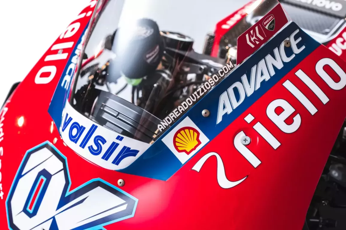 Auction GP19 Dovi