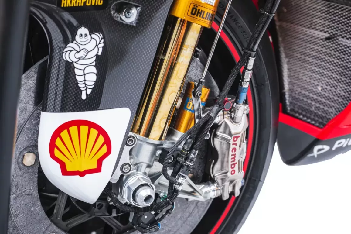 Auction GP19 Dovi