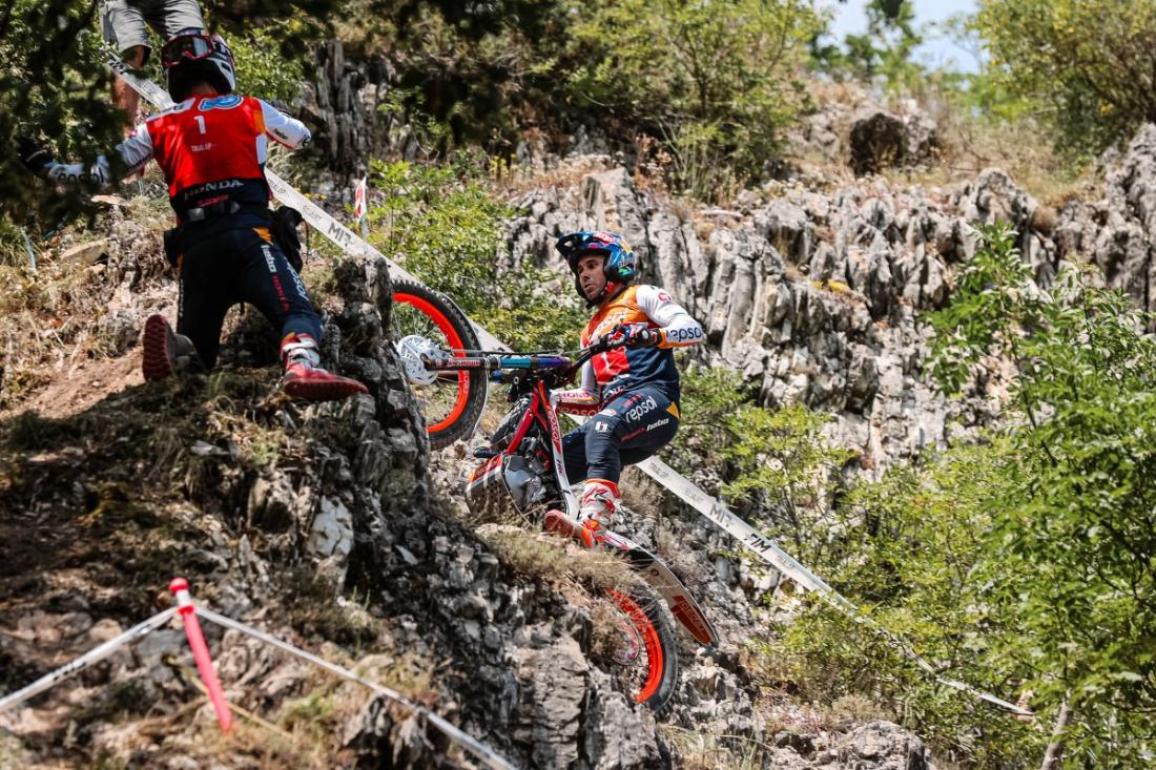 TrialGP