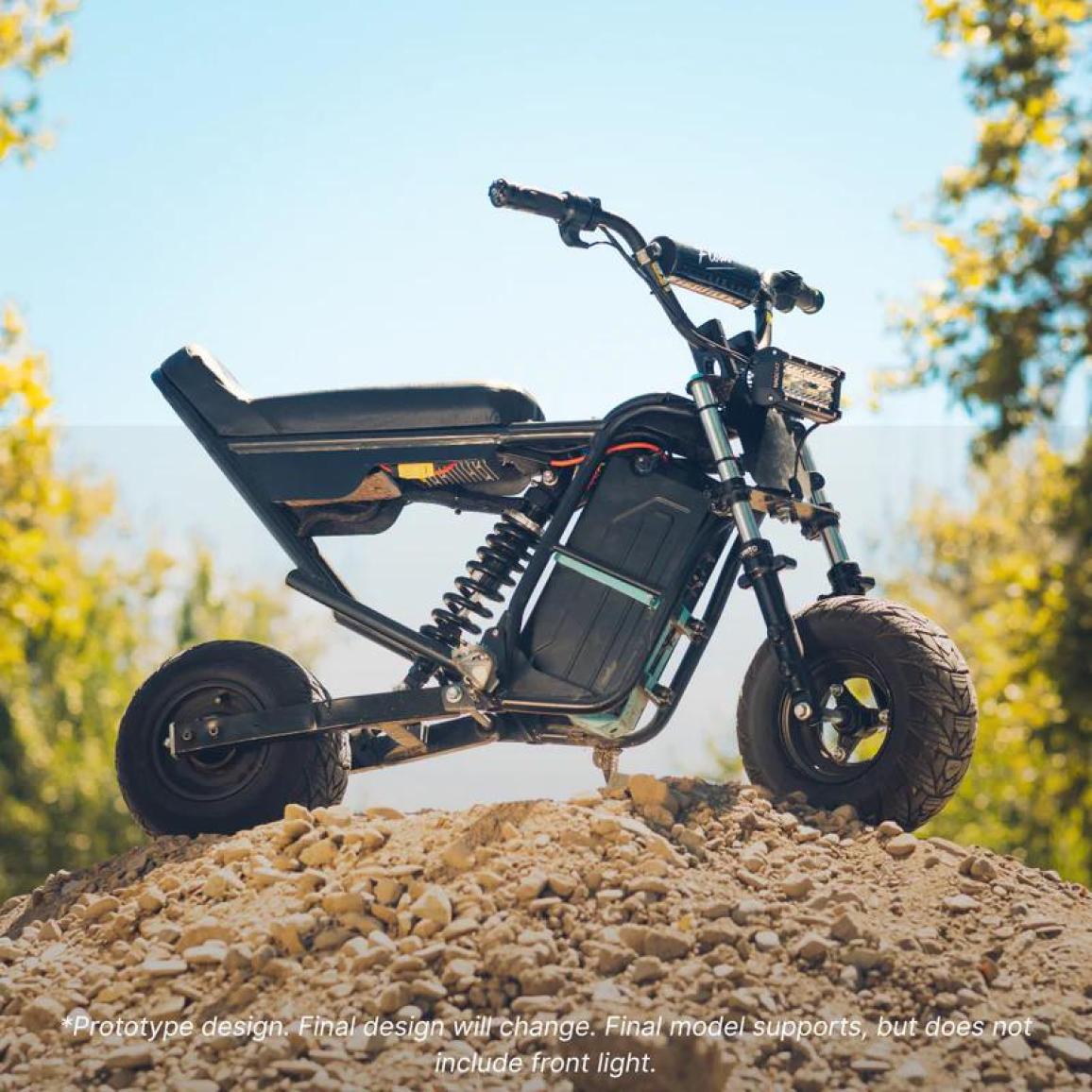 Wheelie Fun Bike