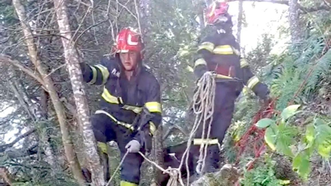 Σταμάτησε να φωτογραφίσει αρκούδα και τον σκότωσε