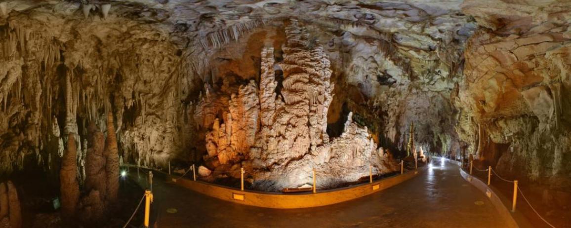 ANDELI ROUPEL TRIP 2026