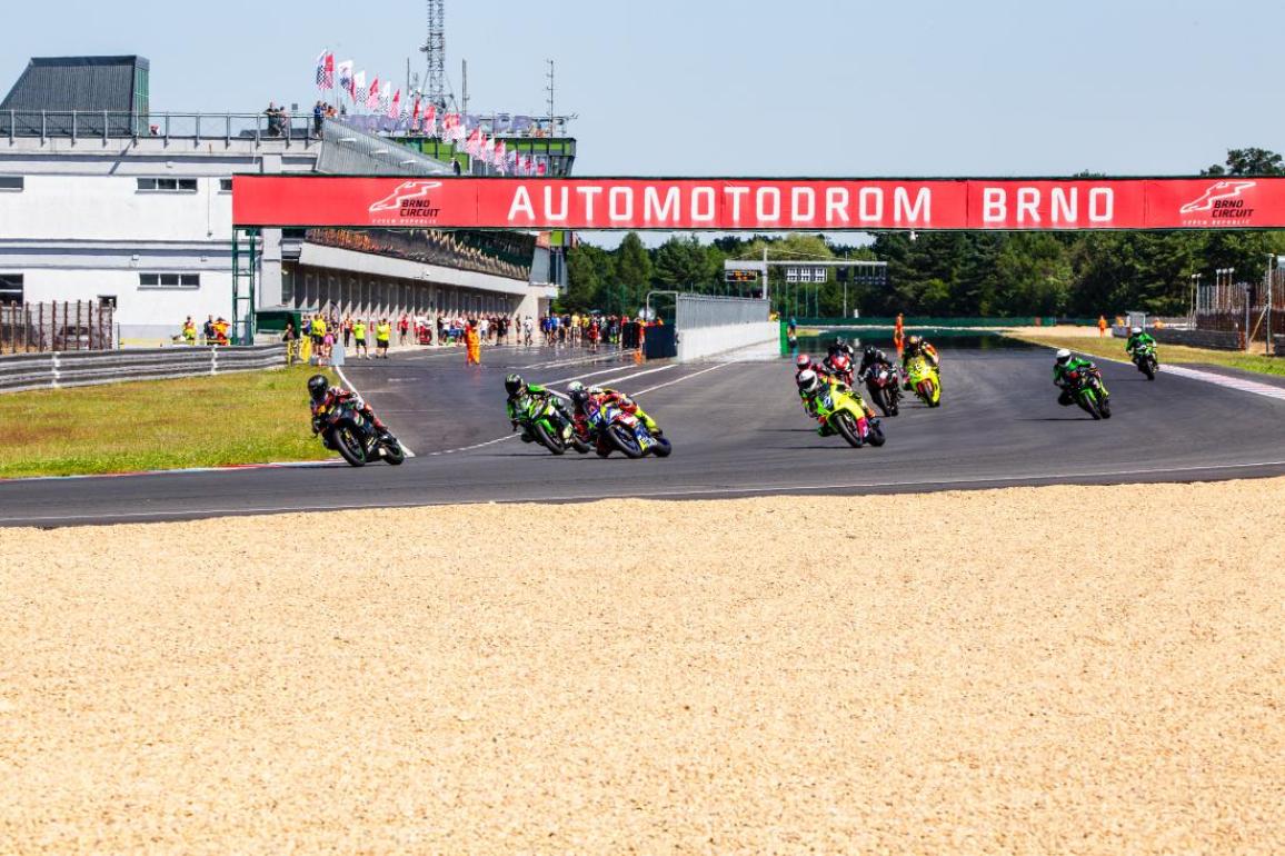Dinos 31 Brno Triple Win