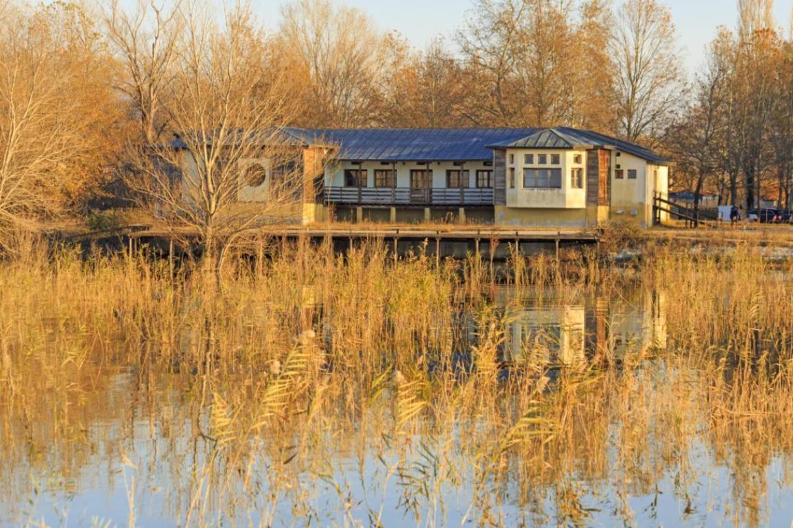 ANDELI ROUPEL TRIP 2026