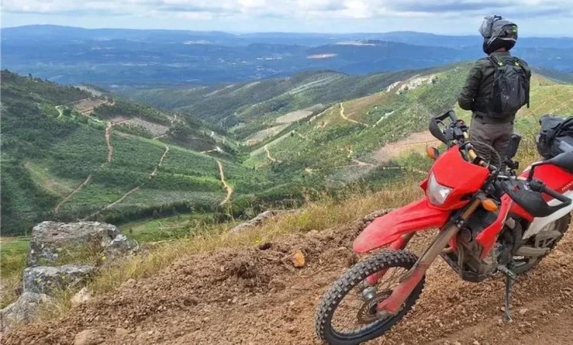 Olimoto