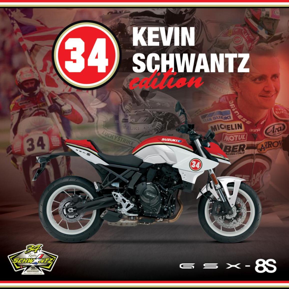 GSX-8S Schwantz