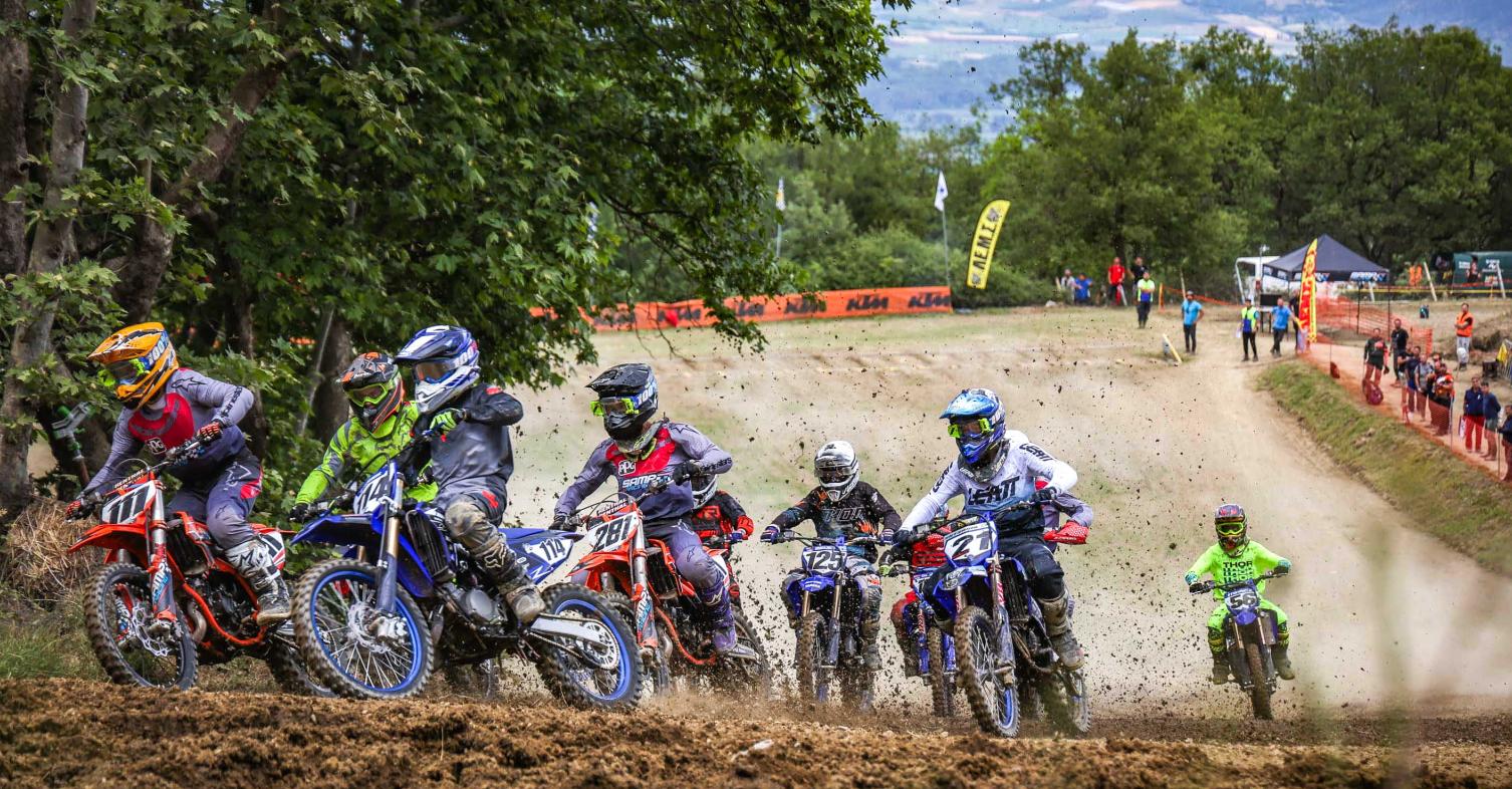 MX
