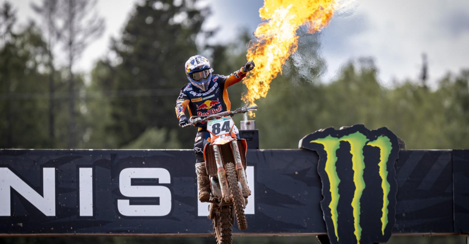 Herlings