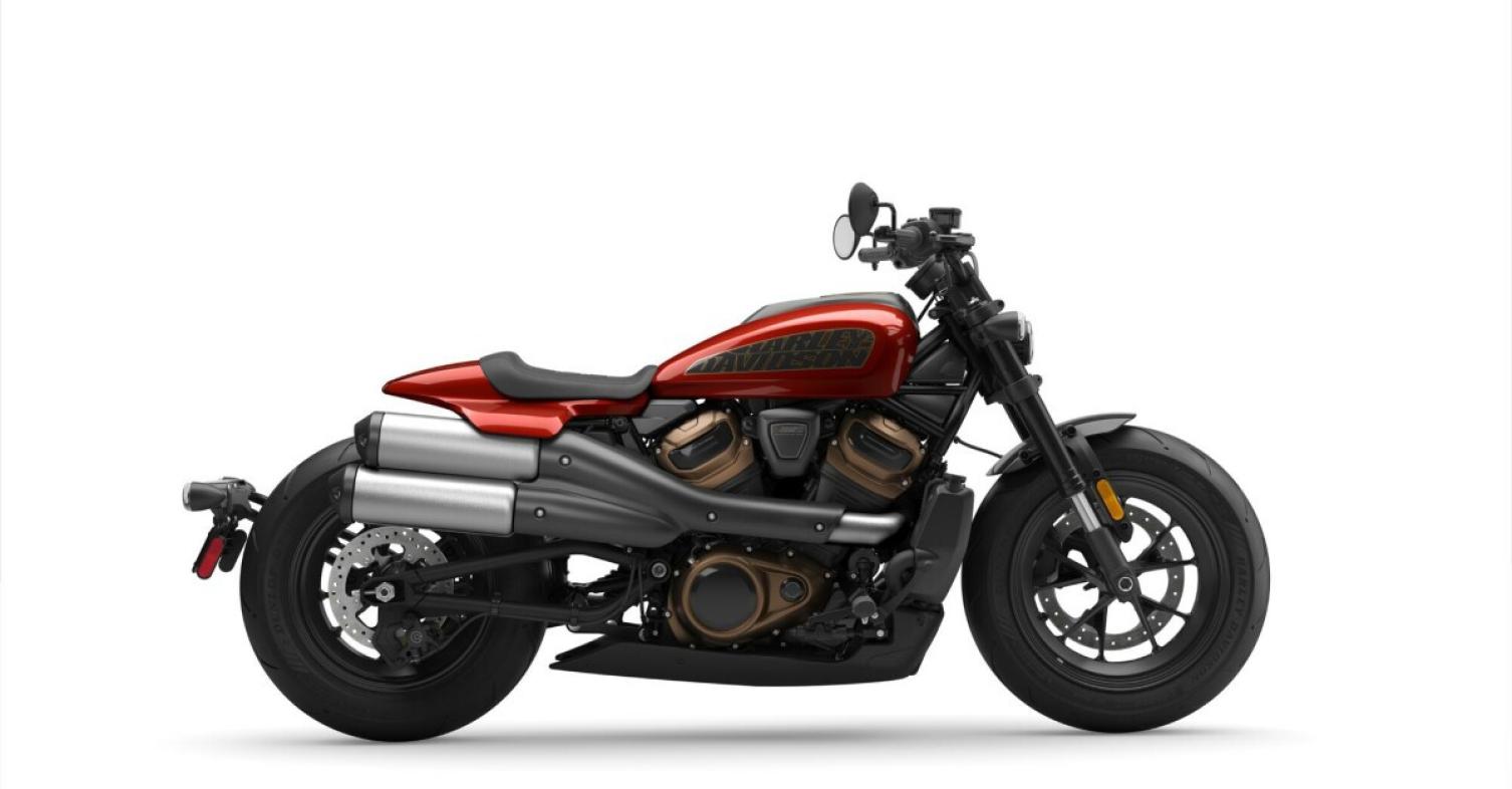 sportster 