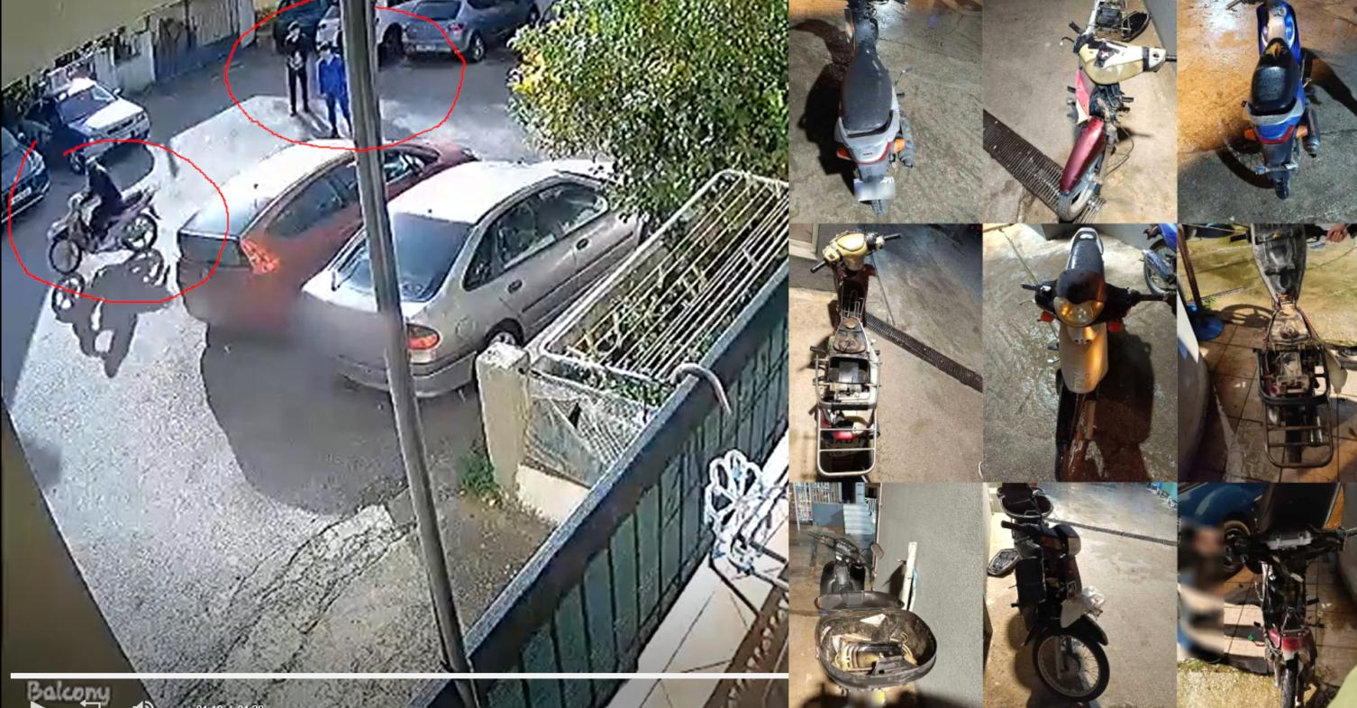 Κλοπές παπιών από συμμορία στα Χανιά