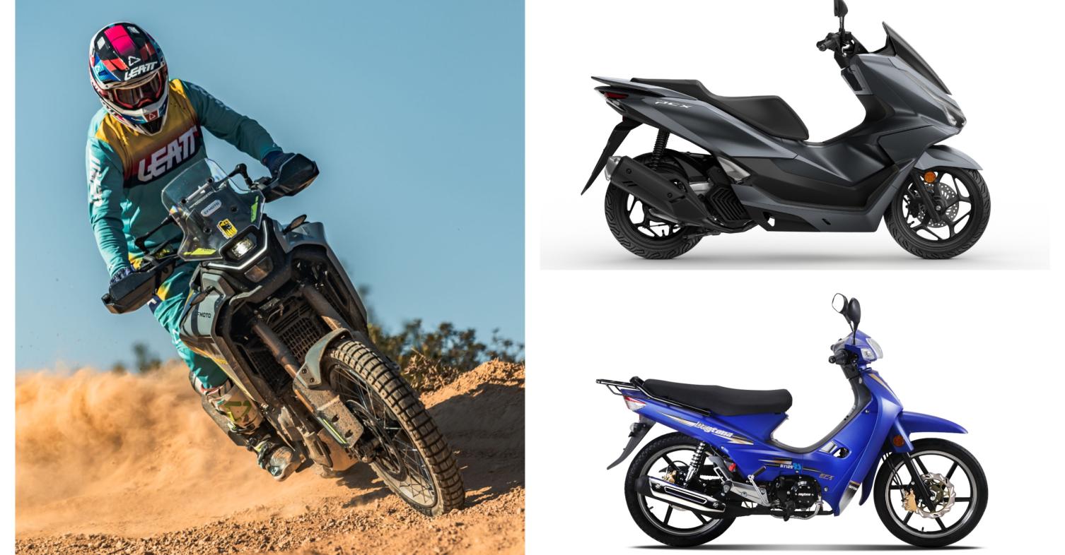 Ταξινομήσεις Ιανουαρίου 2026 - Τα best sellers