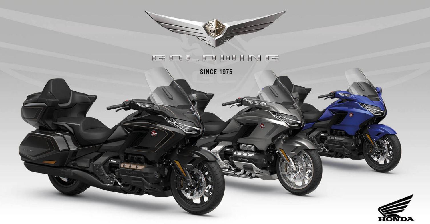 gold wing