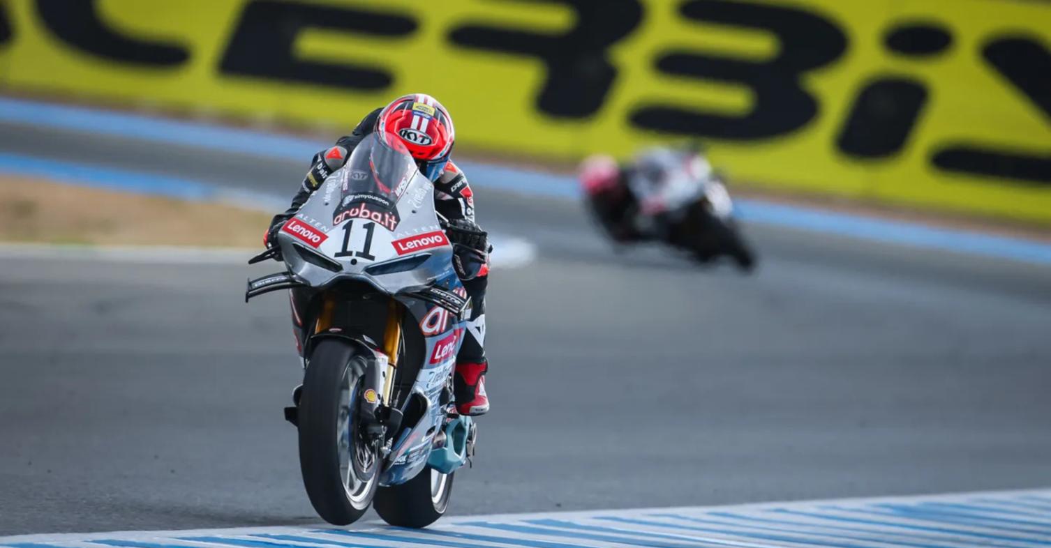 bulega