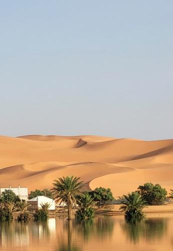 morocco road trip andeli