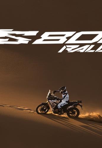 DS800X Rally