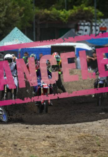 mx 