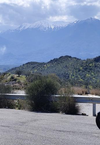 qjmotor hellas challenge