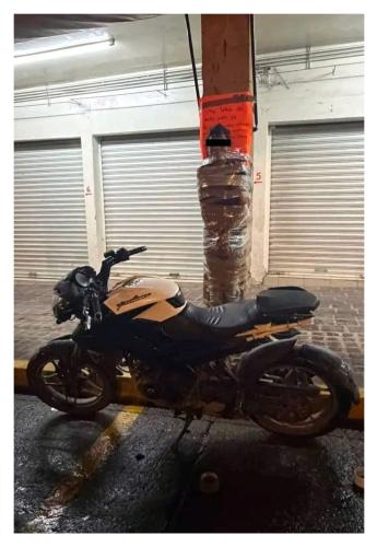 mexico vigilante