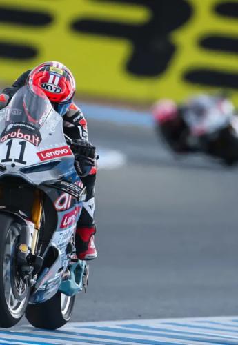 bulega