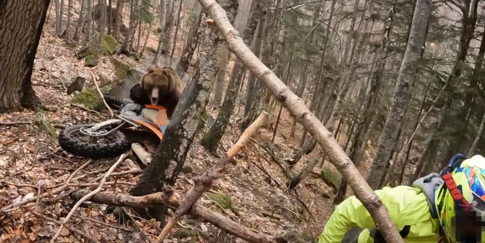 Enduro_Αρκούδα