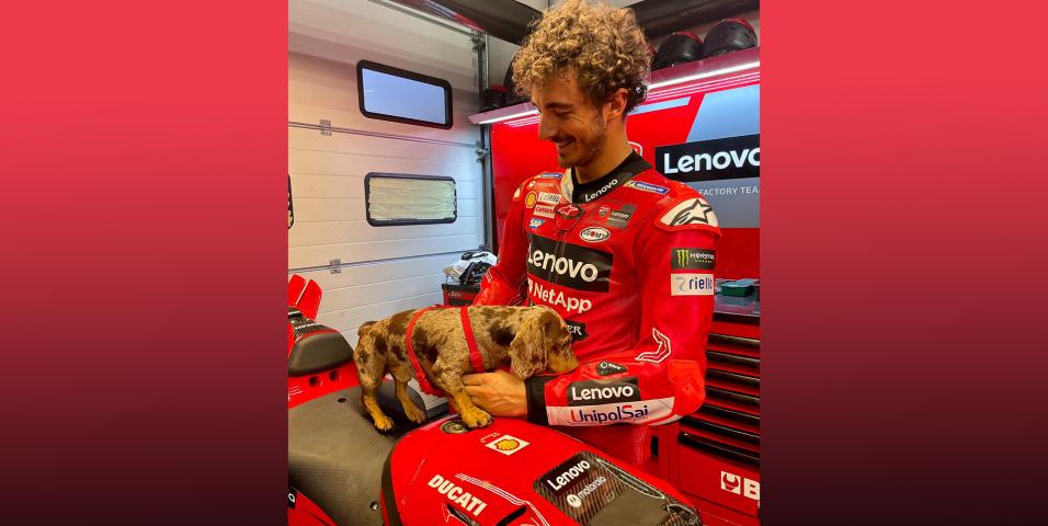 Pecco fit for Misano