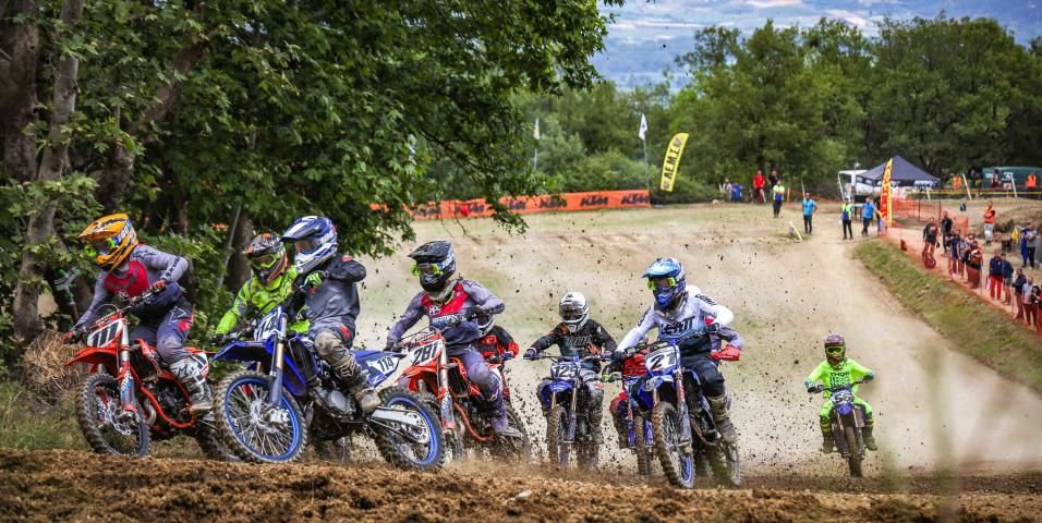 MX