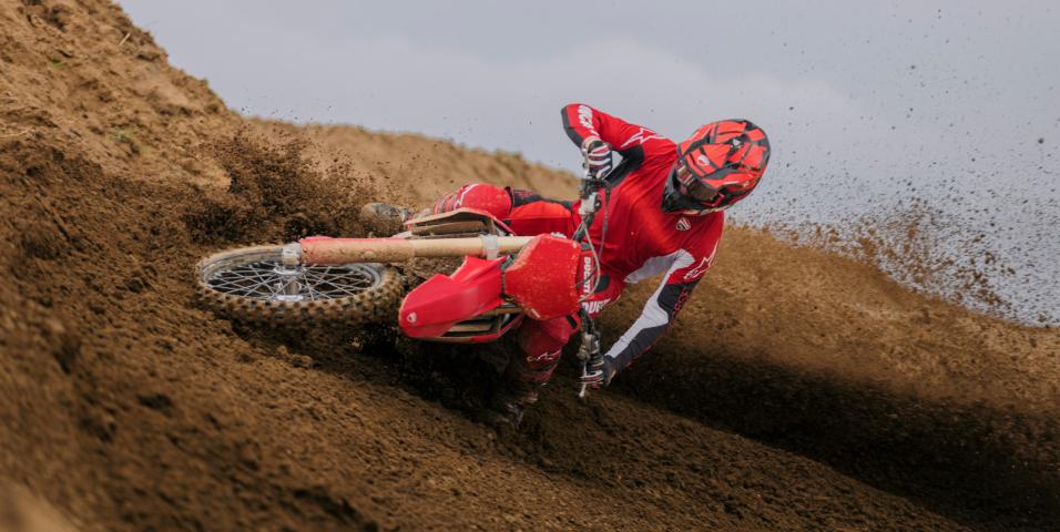 Desmo 450MX