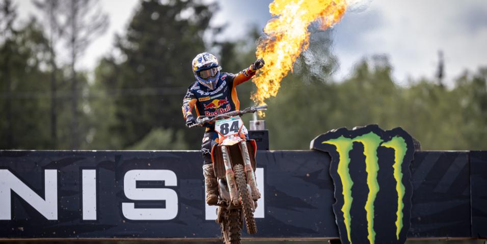 Herlings