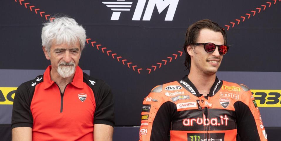 Bulega