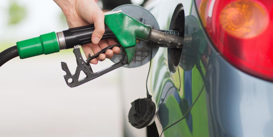 Fuel sample fined