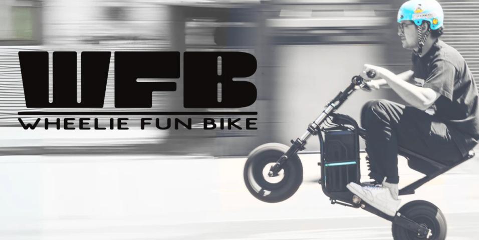 Wheelie Fun Bike