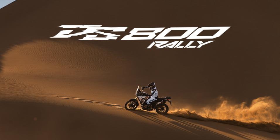 DS800X Rally