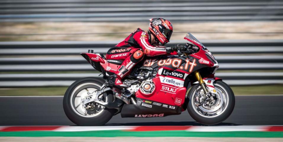bulega
