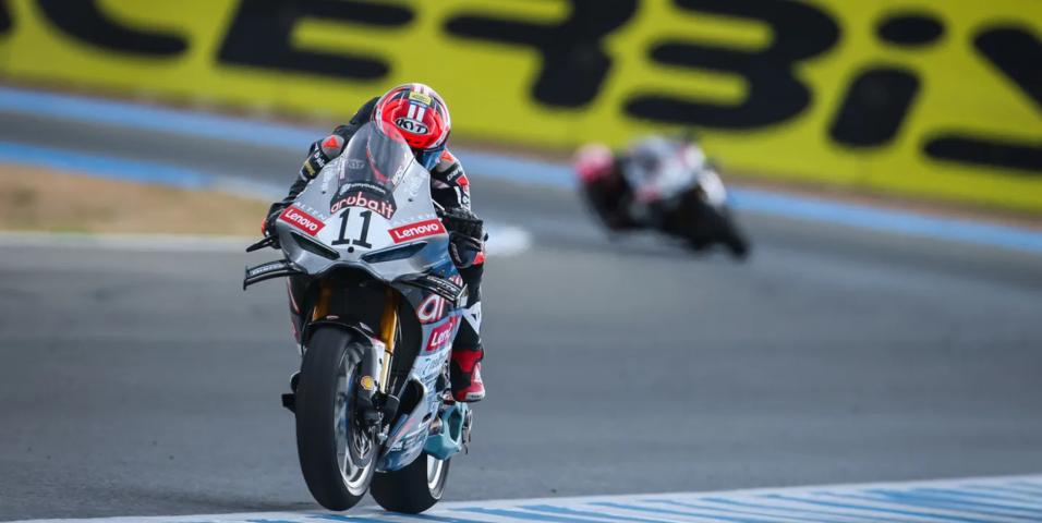 bulega