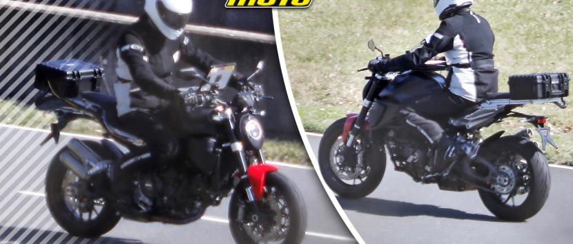 Ducati Monster 2026